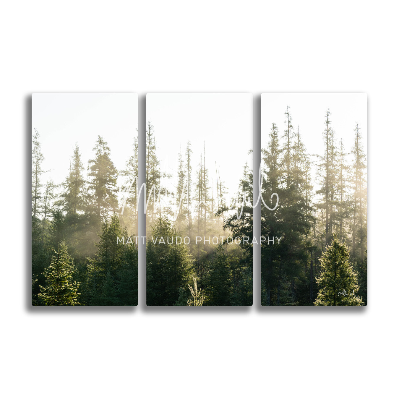 Dreamy North Country Trees Metal Span