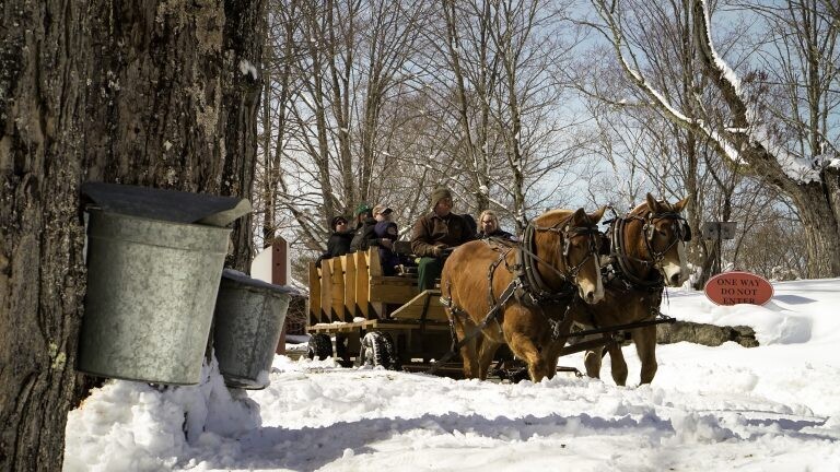 2025 NH Maple Experience (per person)