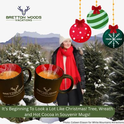Christmas Package: Tree, Wreath and Cocoa in Souvenir Mugs!