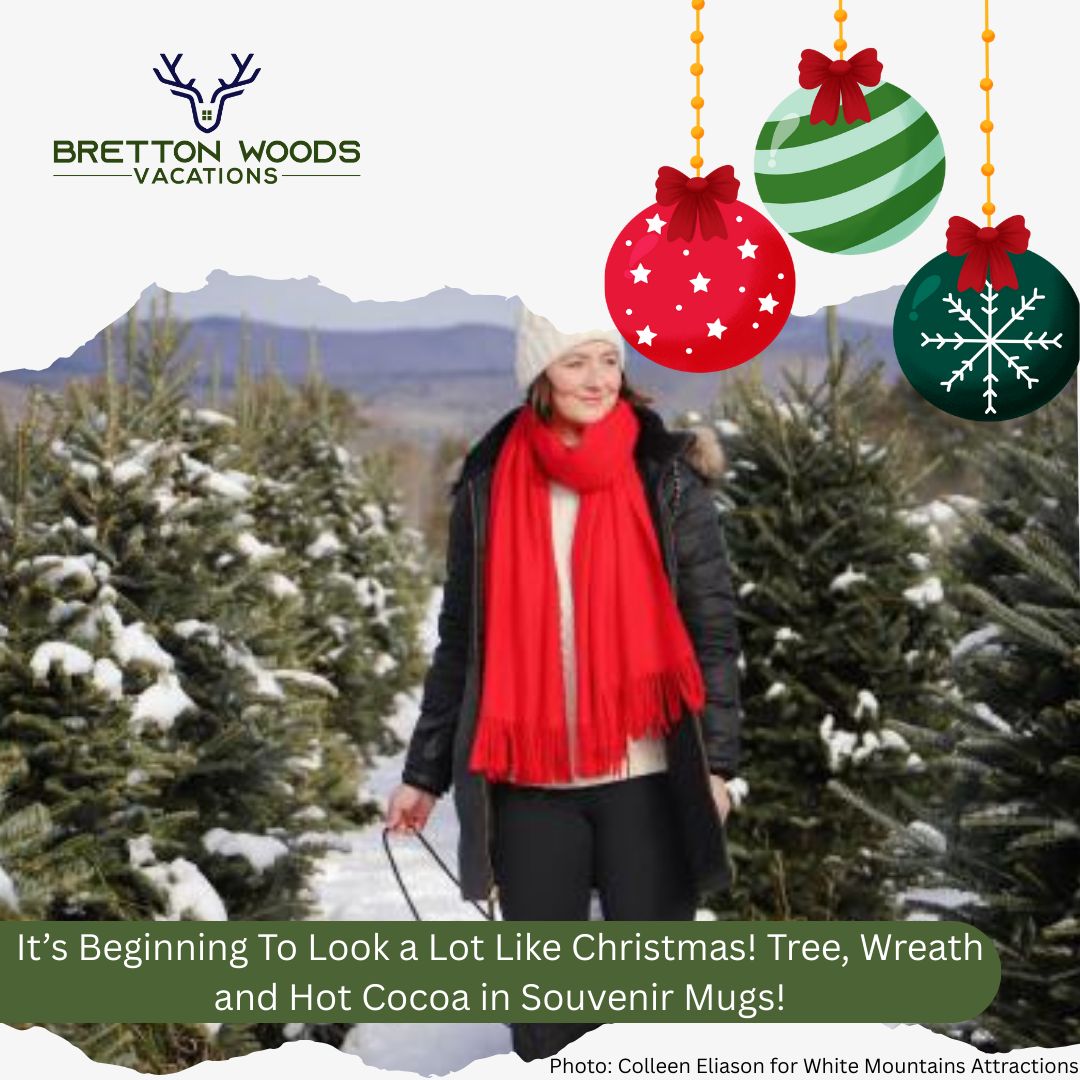 Christmas Package: Tree, Wreath and Cocoa in Souvenir Mugs!