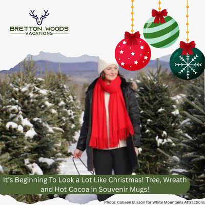 Christmas Package: Tree, Wreath and Cocoa in Souvenir Mugs!