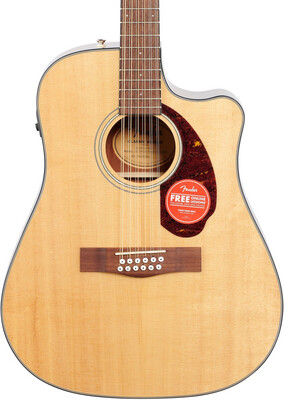Fender Acoustic Electric 12 String 