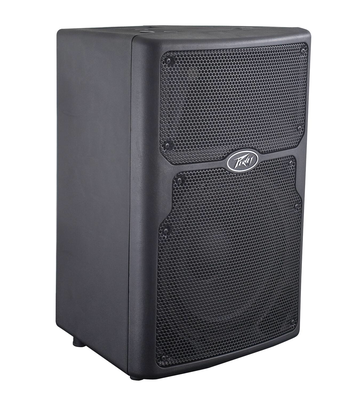 Peavey PVX10