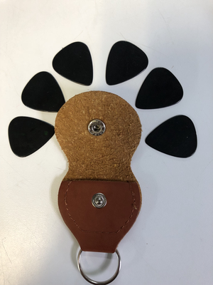 Keychain Pick Holder w/ Picks