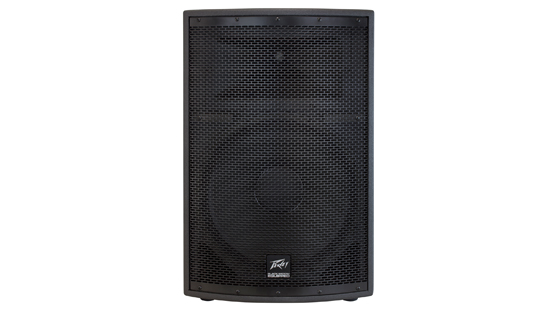 Peavey SP2 Speaker