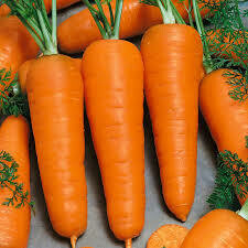 Carrot, Chantenay