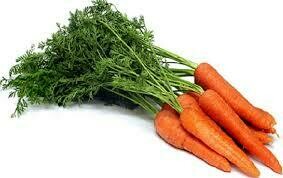 Carrot, All Seasons