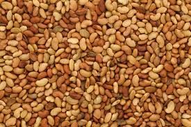 Alfalfa Seed For Sprouting Or Growing