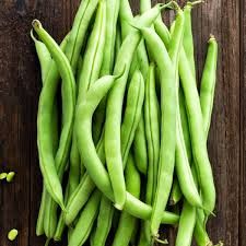 Beans - Winsor long pod