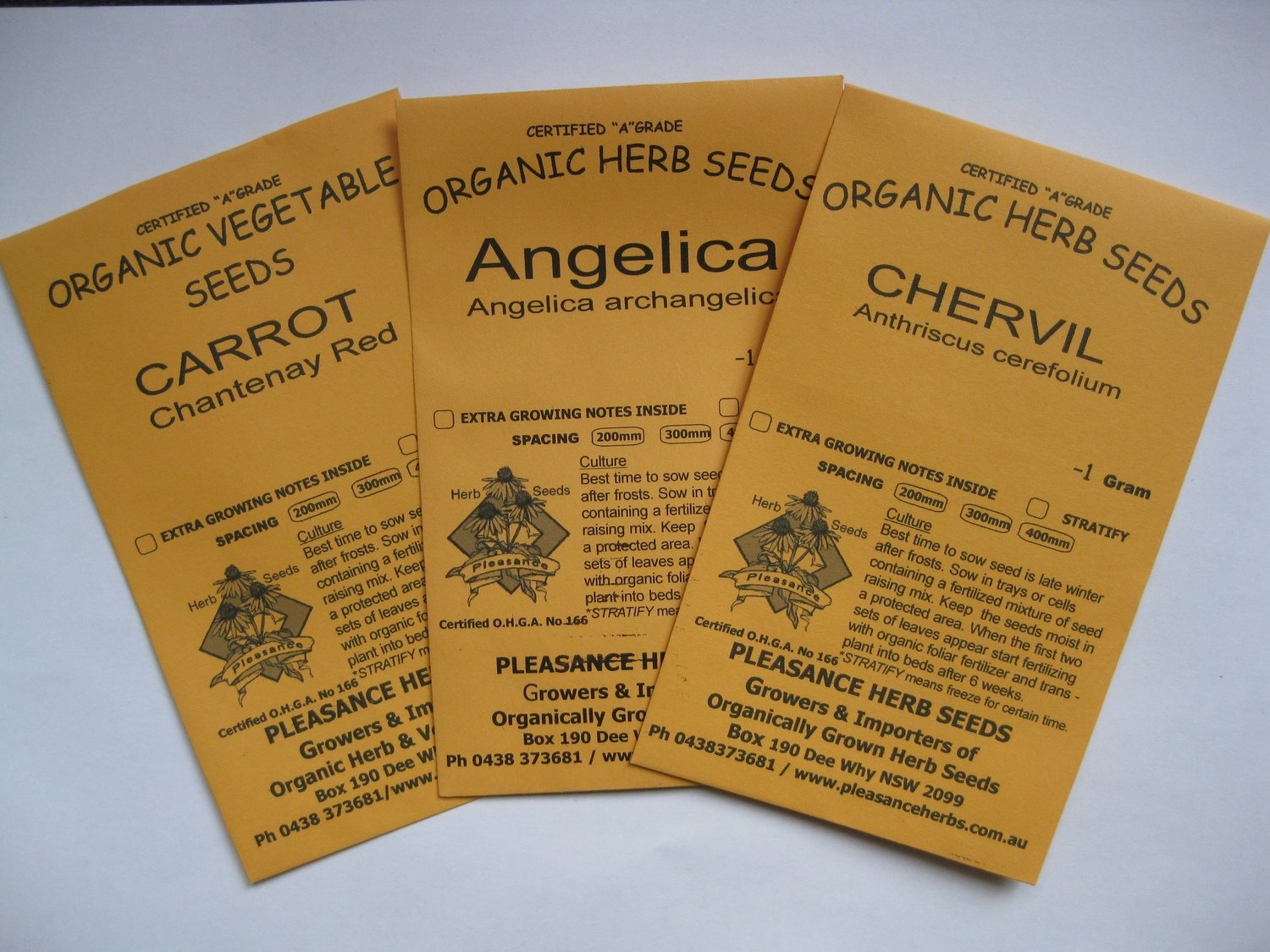 Basil - sweet genova seed