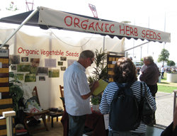 Consultation Services