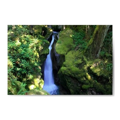 'North Cascades Waterfall' Print