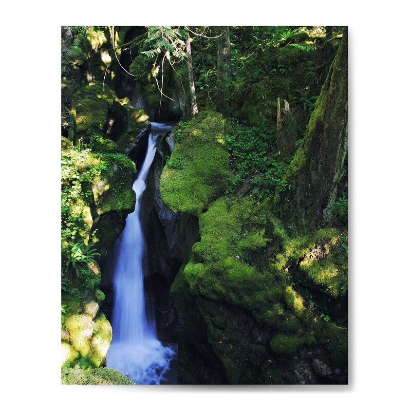 Prints &amp; Canvas Prints