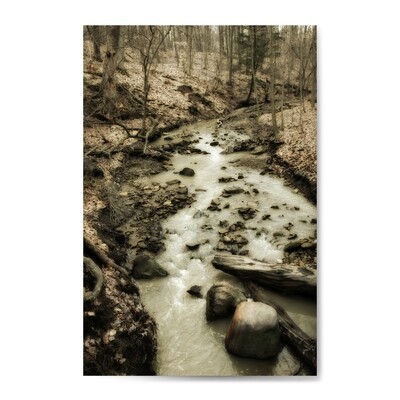 Mystic Woodland III