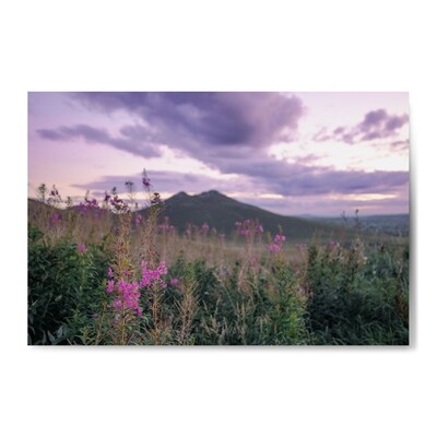 Dreamscape IV