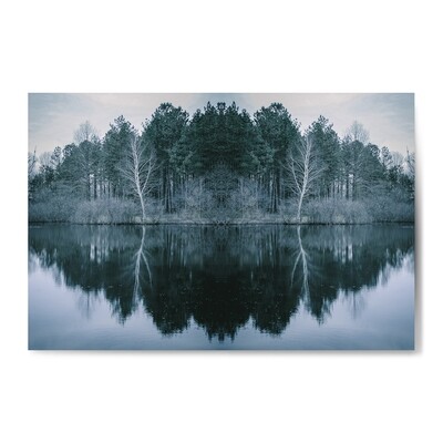 Dreamscape XII