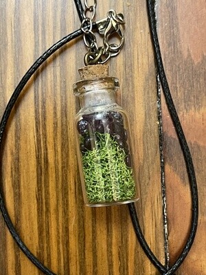 Garnet and Lichen in Fairy Jar
