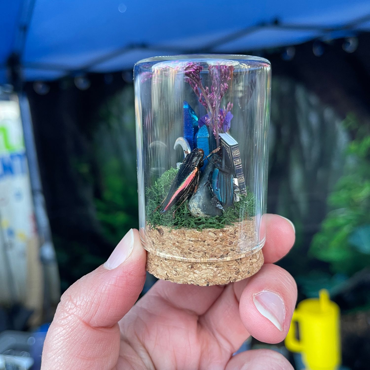 Bookish Bug: Pair of Beetles in Small Jar