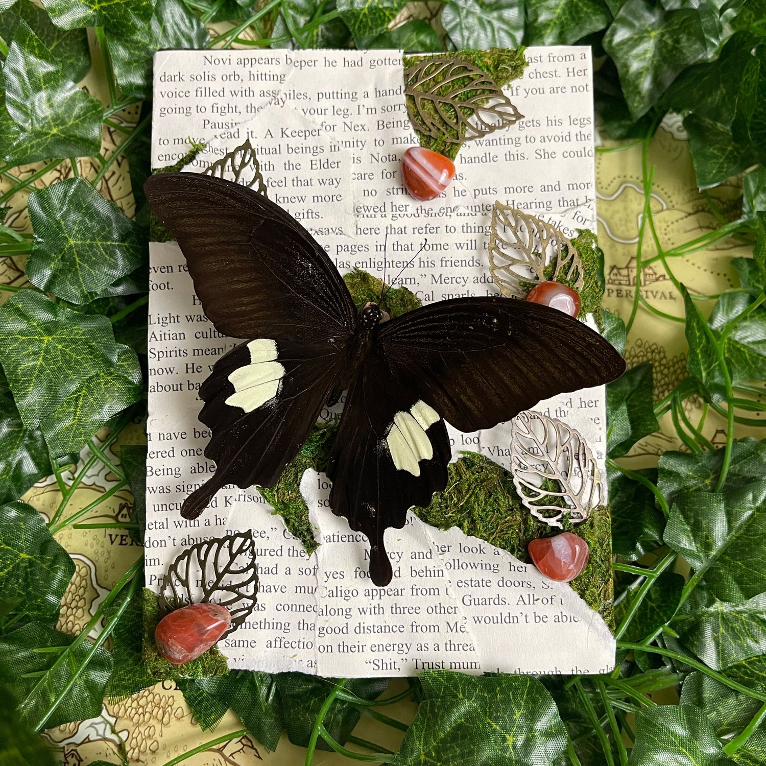 Bookish Bugs: Framed Helen Butterfly 5 x 7 Inches