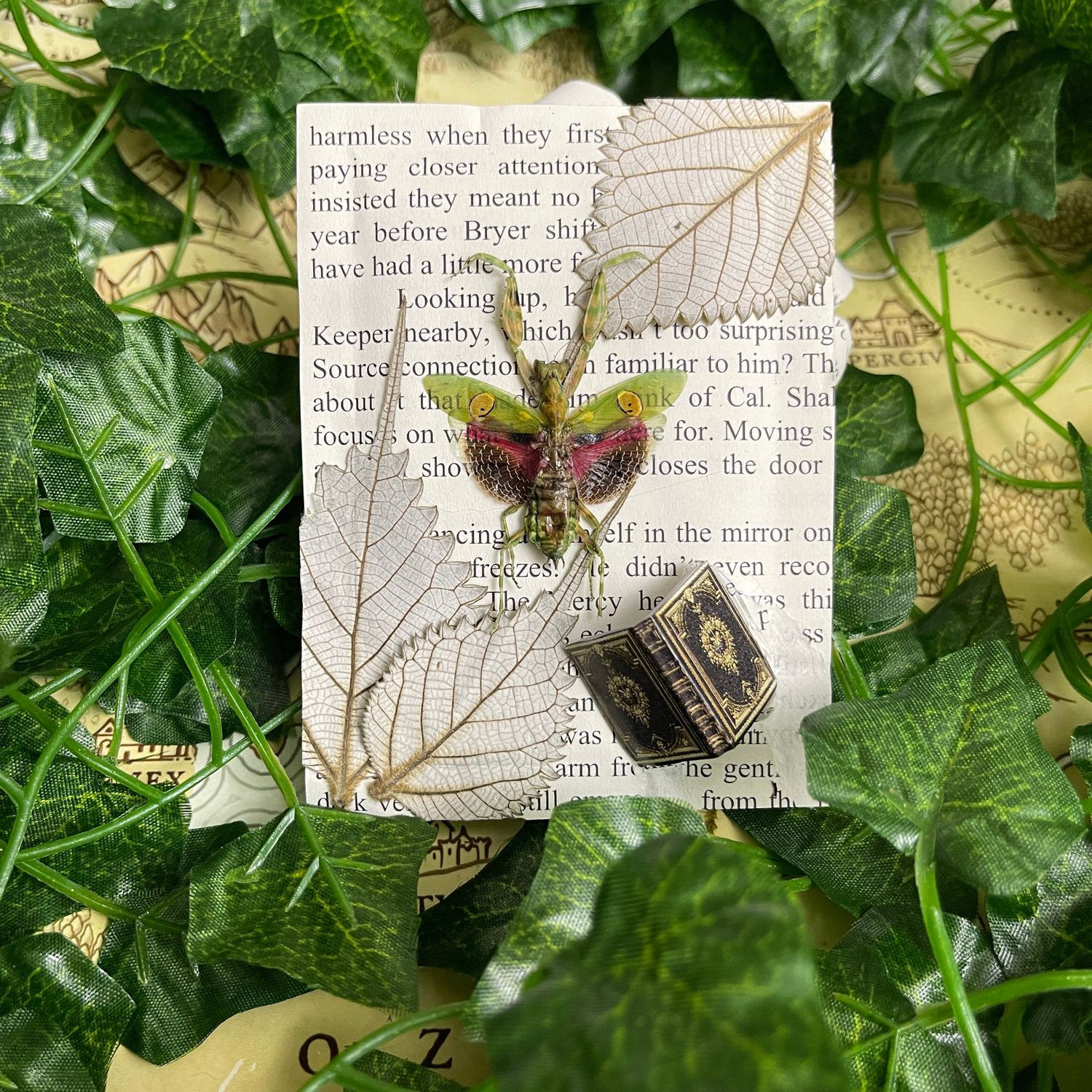 Bookish Bug: Framed Jewel Mantis 3 X 4 Inch
