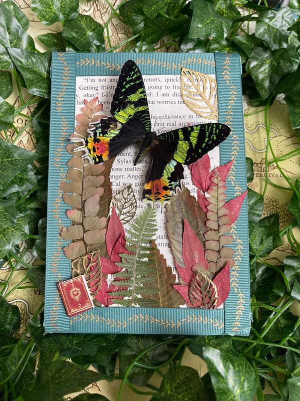 Bookish Bugs: Framed Damaged Sunset Moth 5 x 7 Inches Bookish Bugs: Framed Damaged Sunset Moth 5 x 7 Inches