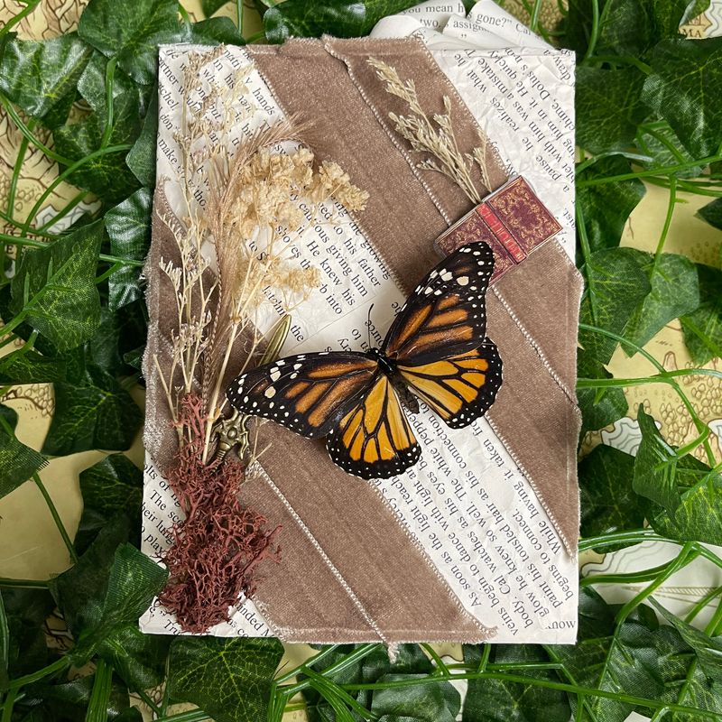 Bookish Bugs: Framed Monarch Butterfly 5 x 7 Inches Bookish Bugs: Framed Monarch Butterfly 5 x 7 Inches