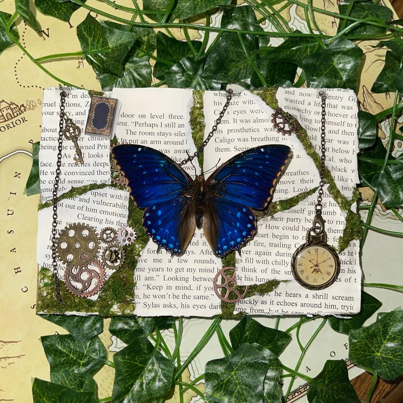 Bookish Bugs: Framed Blue Africa Starry Night Butterfly 5 x 7 Inches