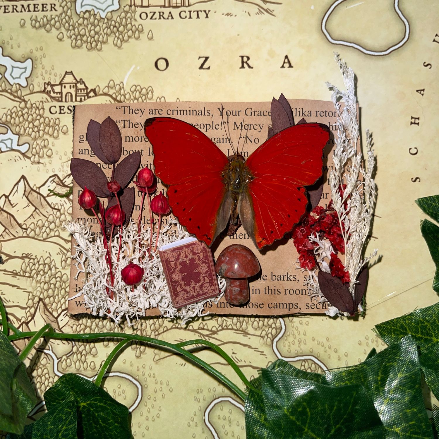 Bookish Bug: Framed Blood Red Glider Butterfly 3 X 4 Inch