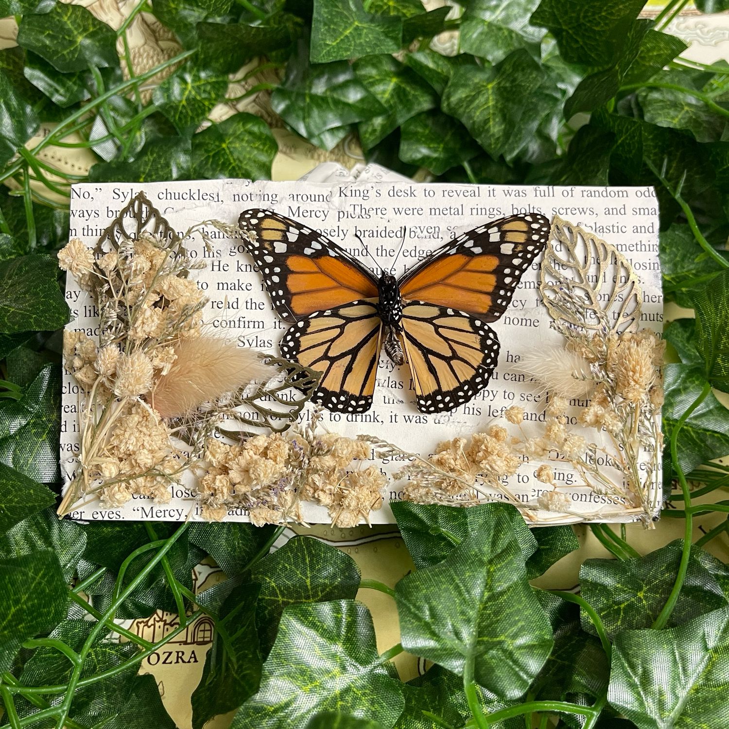 Bookish Bugs: Framed Monarch Butterfly 4.5 x 7 Inches