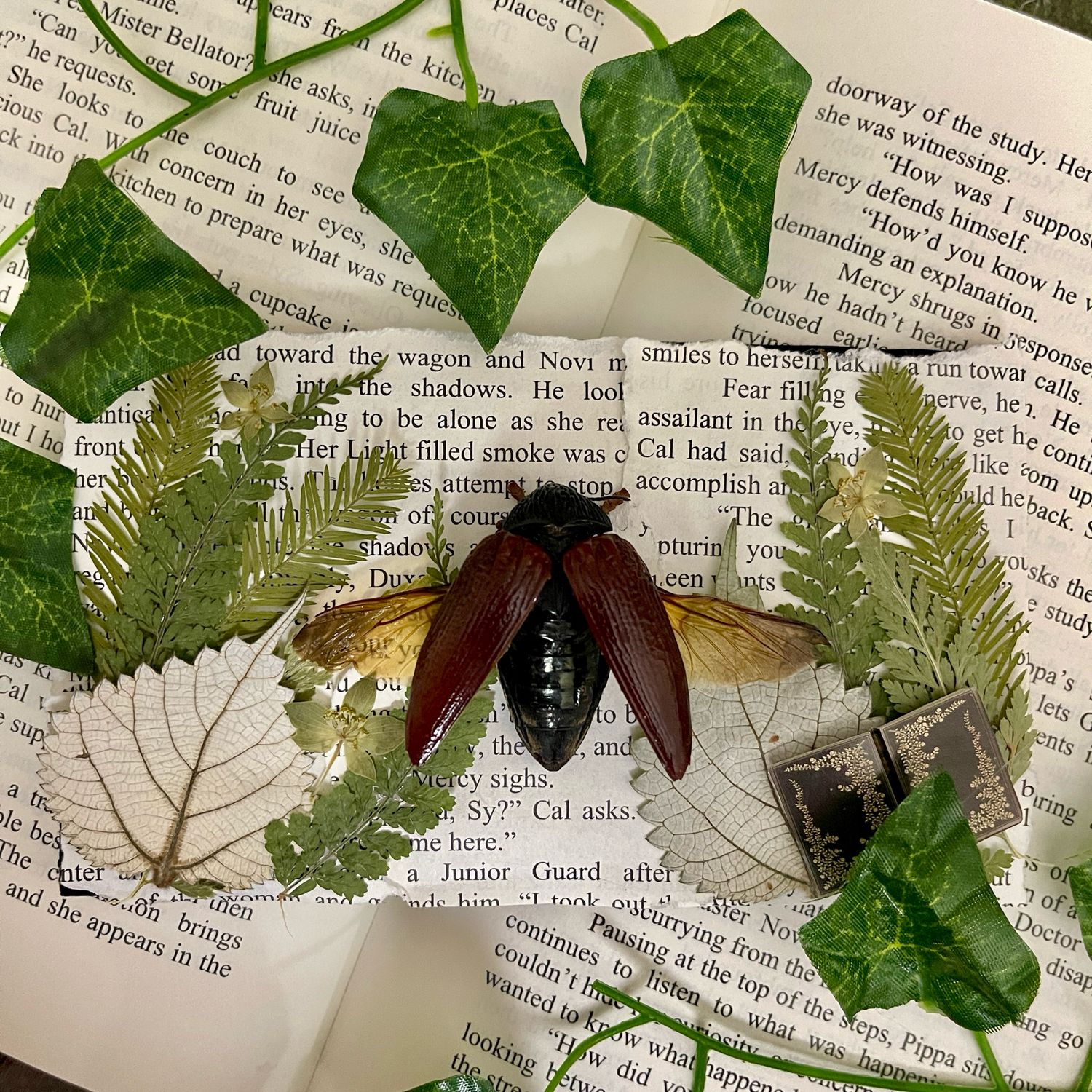 Bookish Bugs: Framed Jewel Beetle 4.5 x 7 Inches