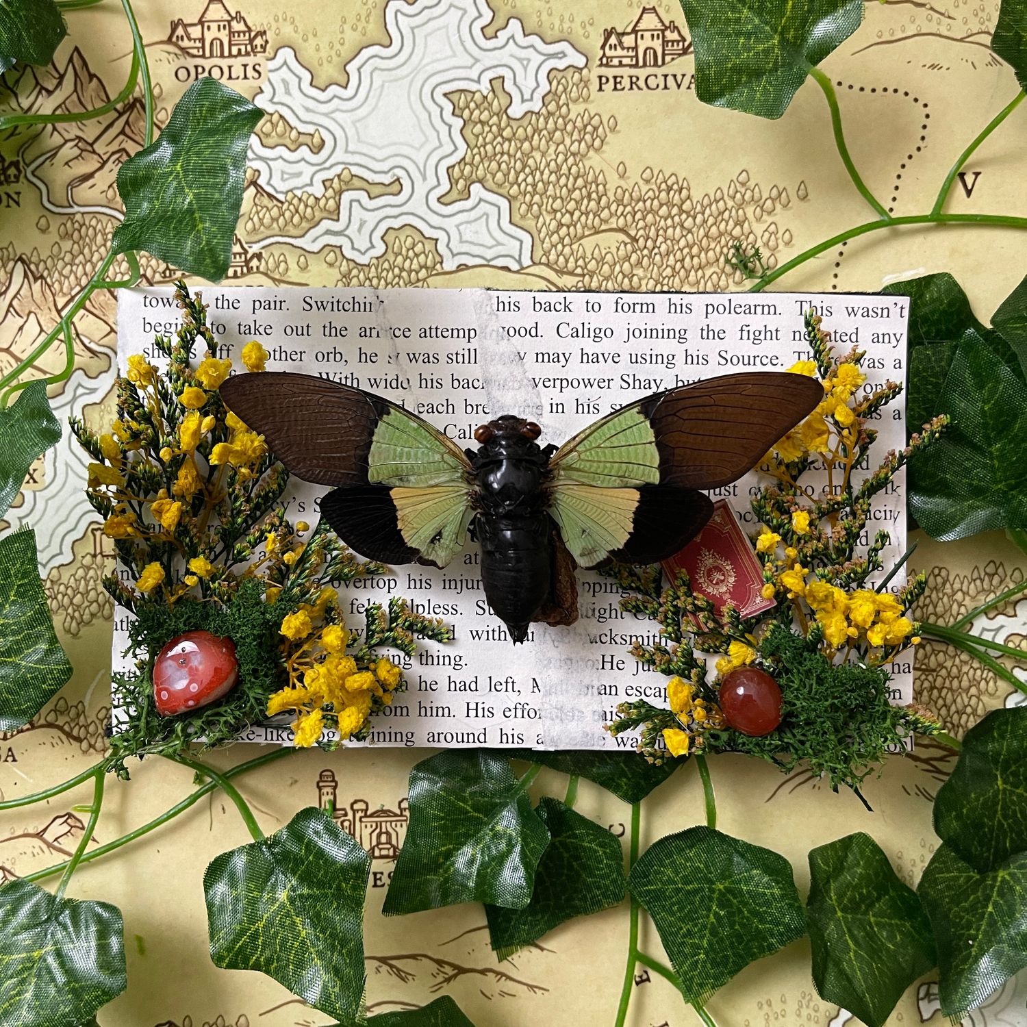 Bookish Bugs: Green Yellow Cicada 4.5 x 7 Inches