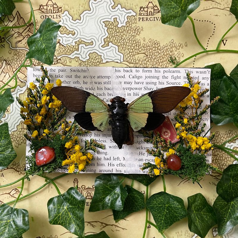 Bookish Bugs: Green Yellow Cicada 4.5 x 7 Inches