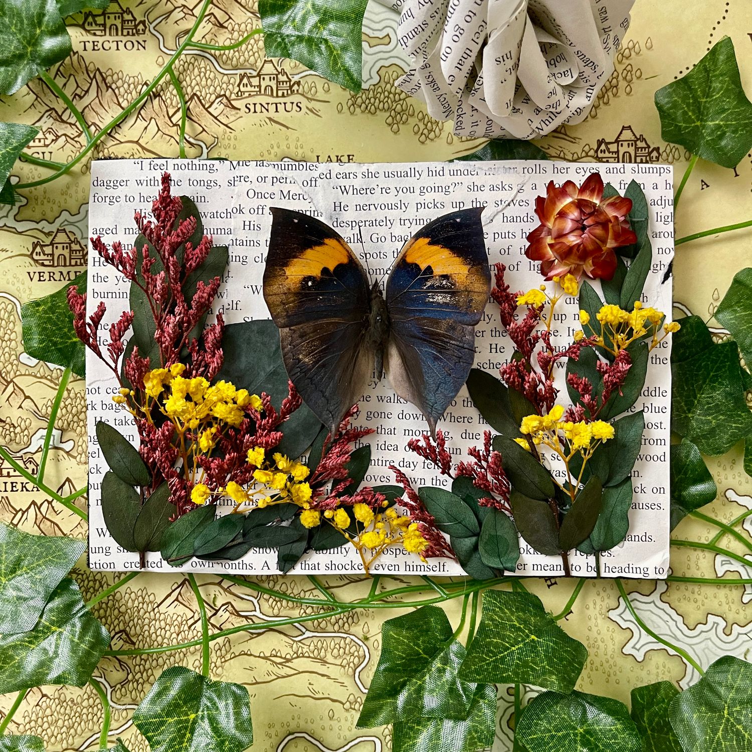 Bookish Bugs: Framed Dead Leaf Butterfly 5 x 7 Inches