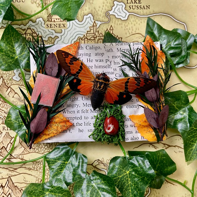 Malaysian Orange Cicada 3 X 4 Inch