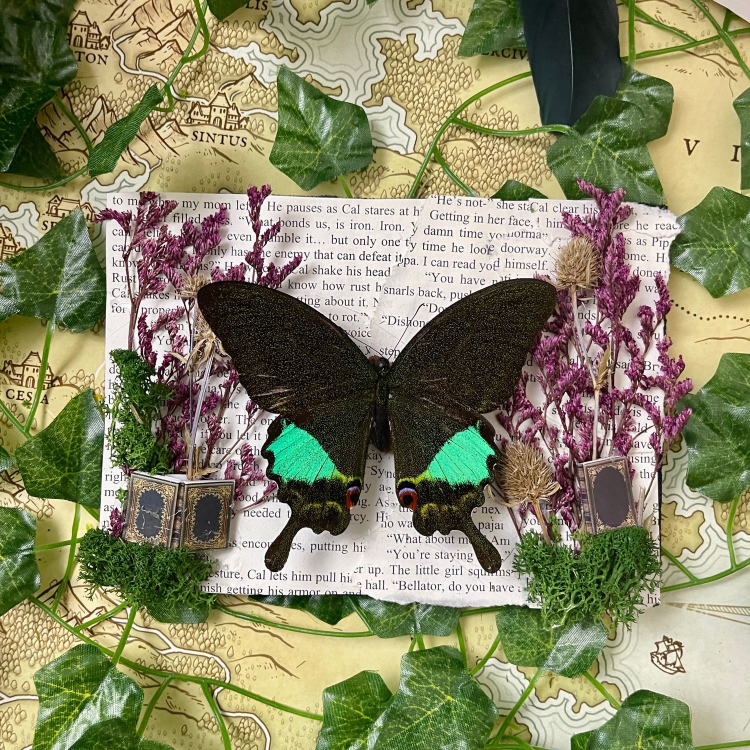 Bookish Bugs: Rainbow Swallowtail Butterfly 5 x 7 Inches