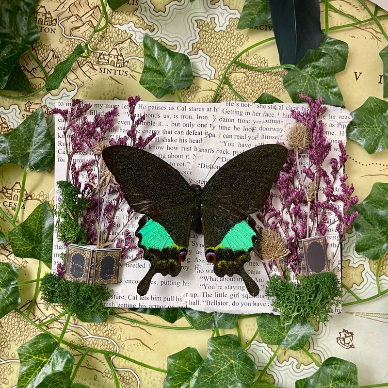 Bookish Bugs: Rainbow Swallowtail Butterfly 5 x 7 Inches