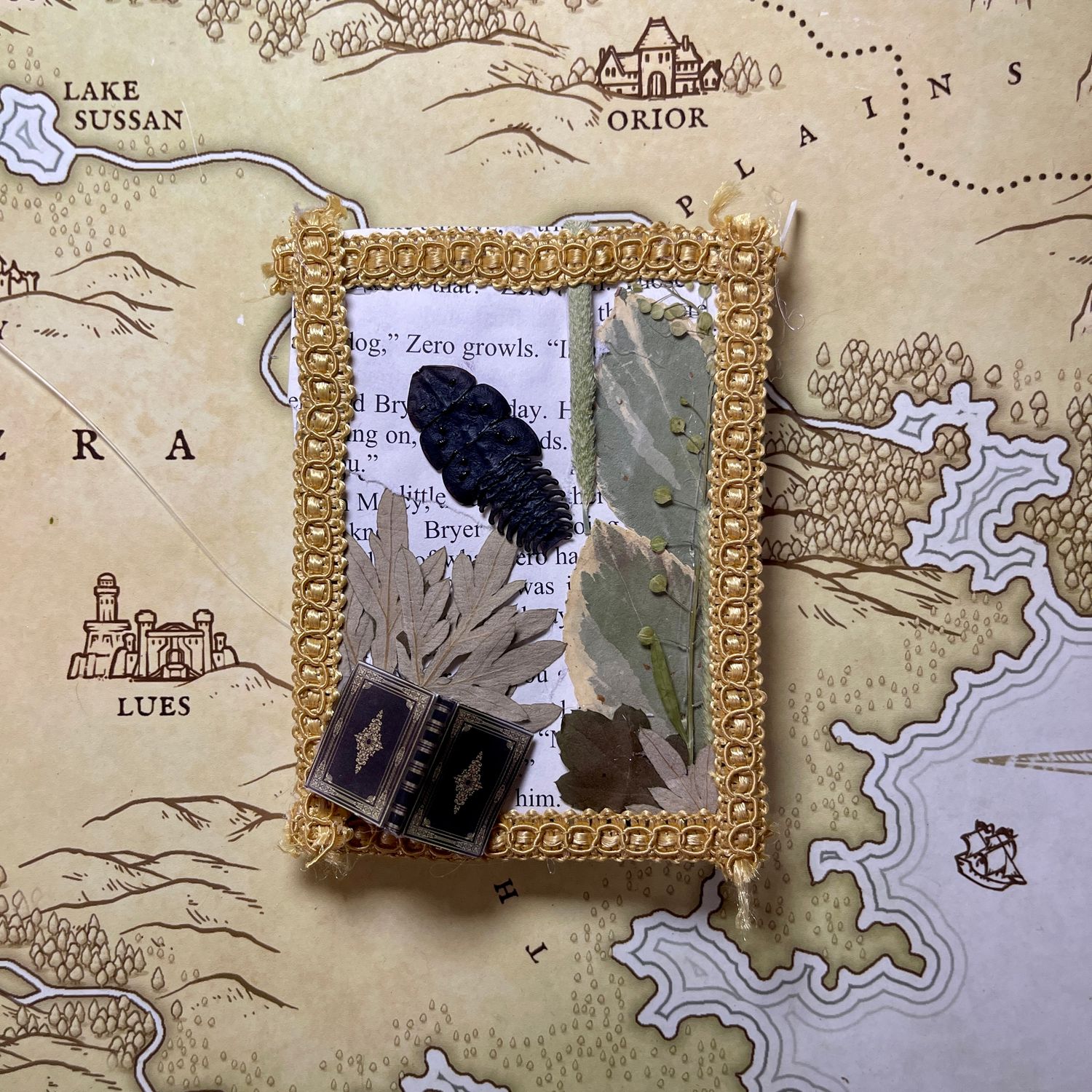 Trilobite Beetle 3 X 4 Inch