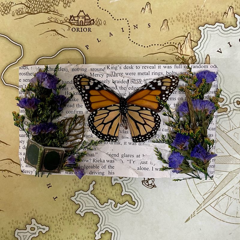 Monarch Butterfly 4.5 x 7 Inches