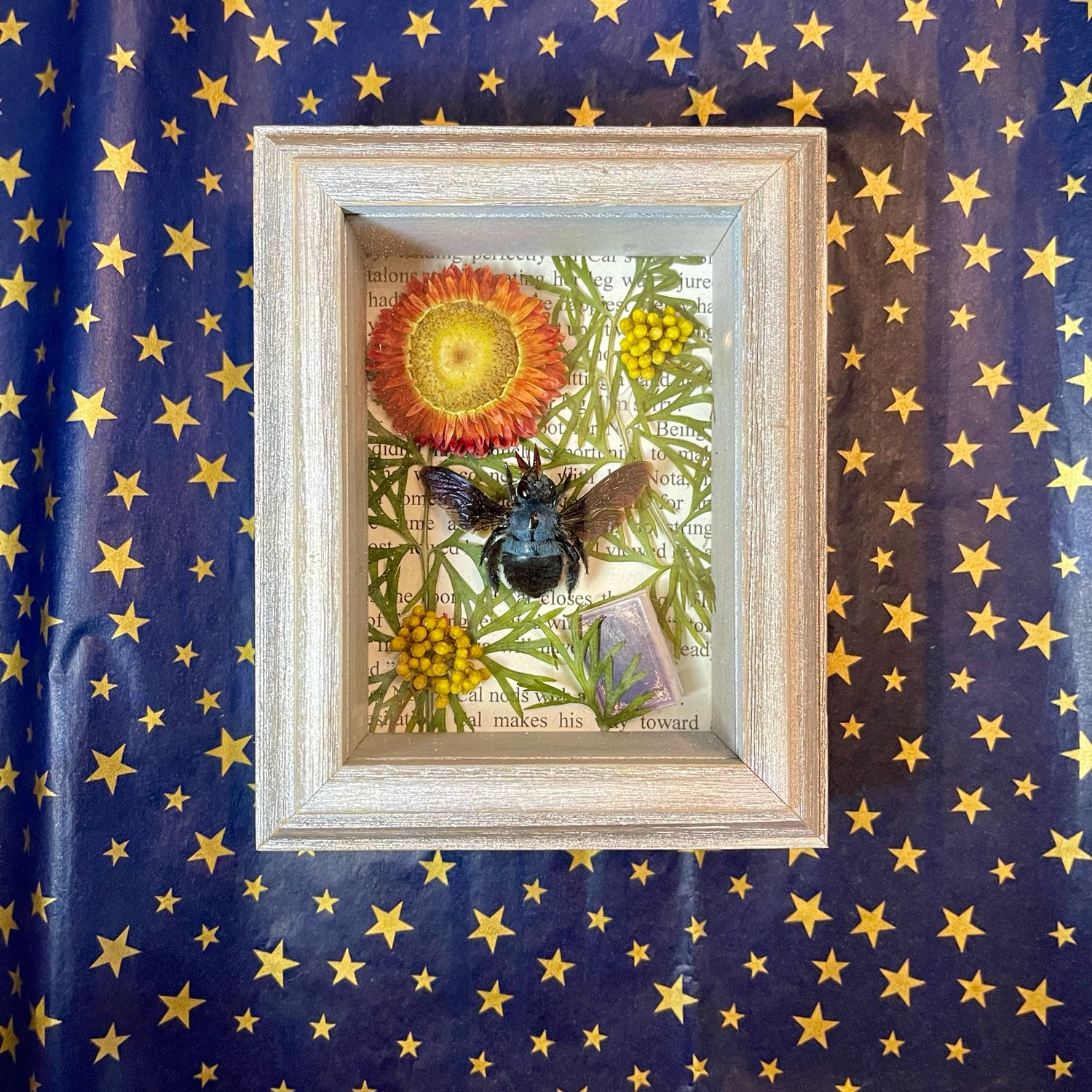 Blue Carpenter Bee 3 X 4 Inch