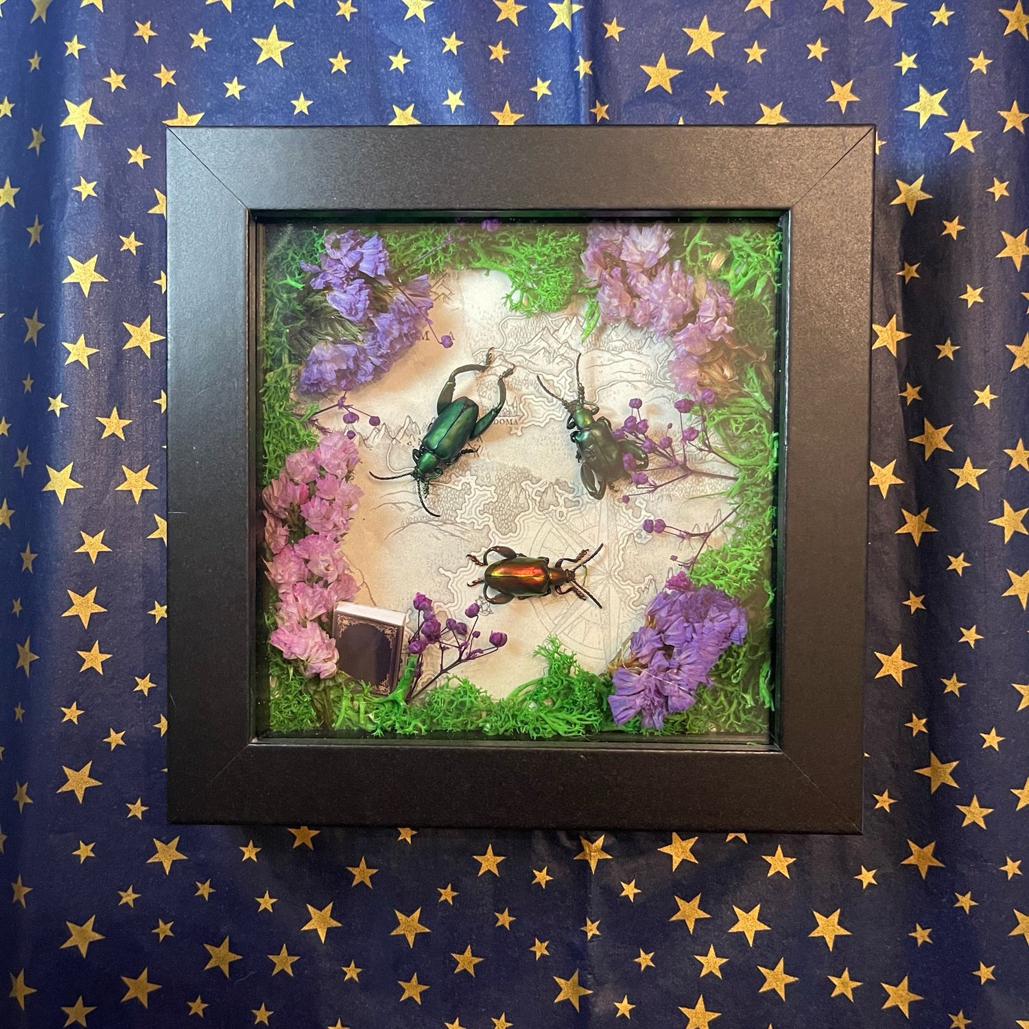 Frog Beetle Trio 6 x 6 Inches