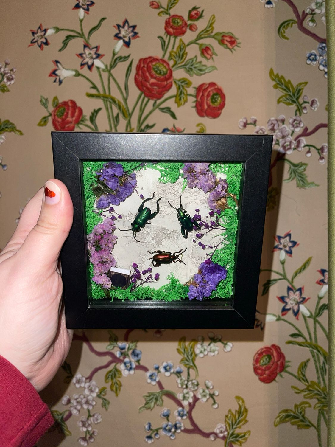 Frog Beetle Trio in 6 x 6 Inch Black Frame