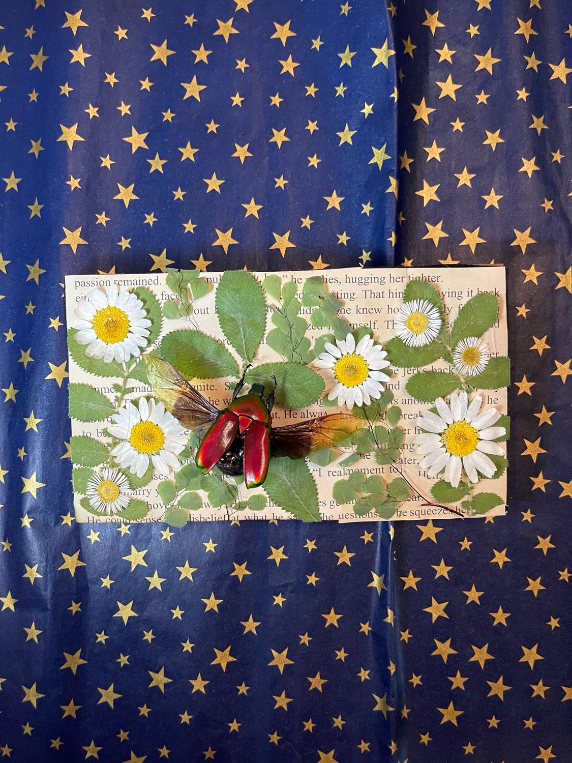 Red Flower Beetle 4.5 x 7 Inches