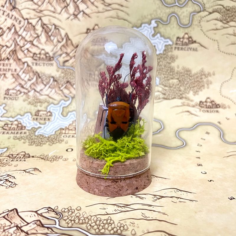 Man Face Beetle #1 in 3-inch Cloche