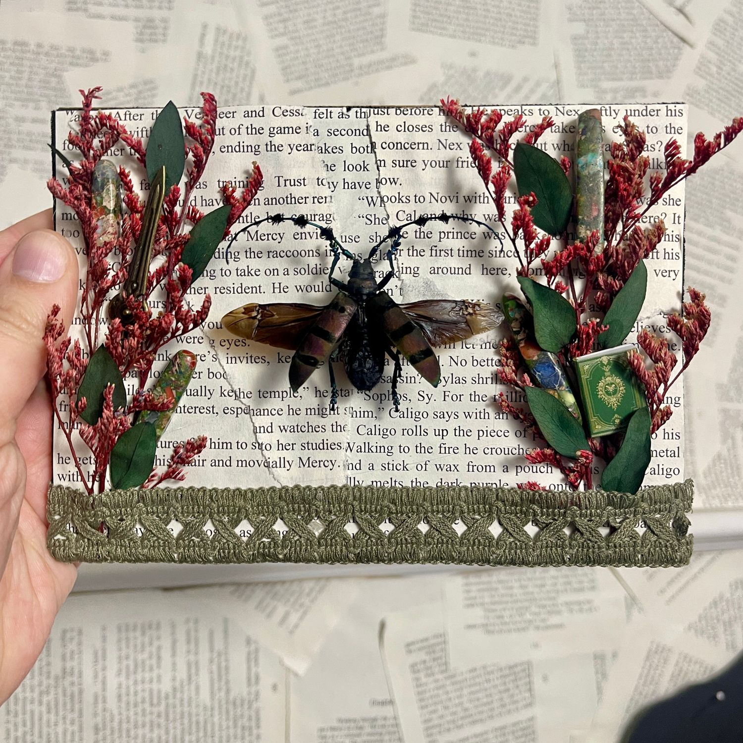 Longhorn Beetle in 5 x 7 Inch Black Frame