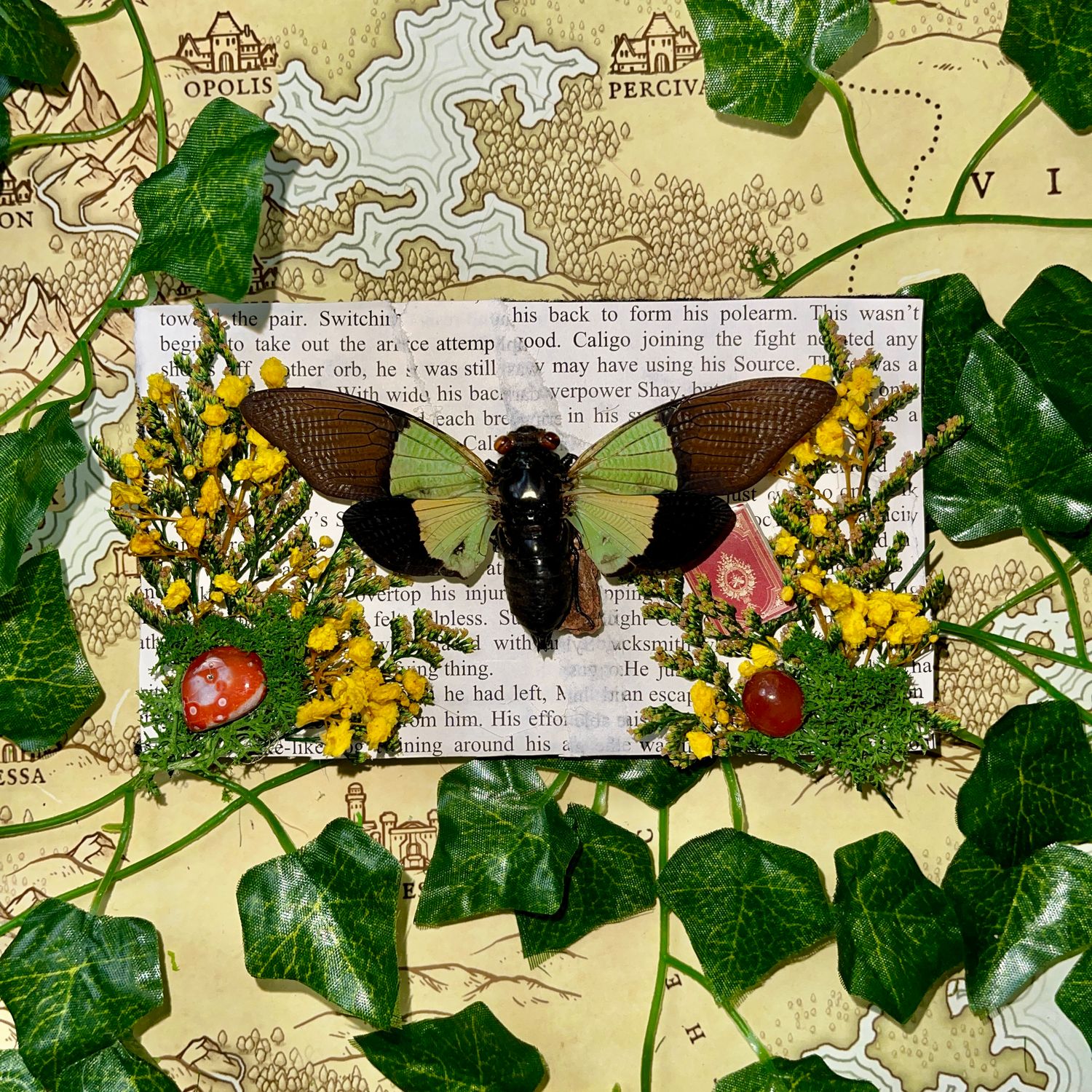 Green Yellow Cicada in 4 x 7 Inch Black Frame