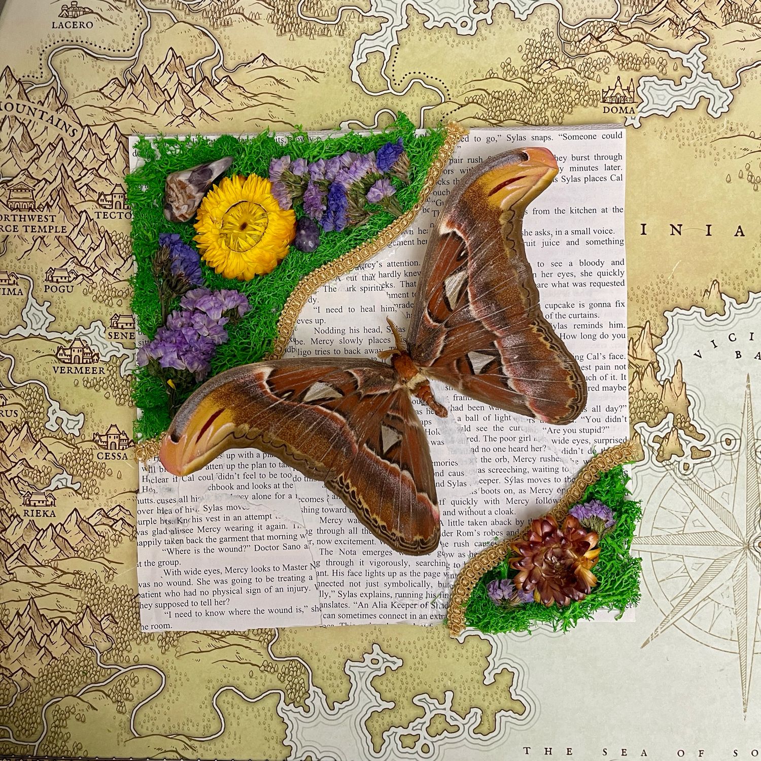 Atlas Moth With Amethyst In 9 x 9 Inch Frame