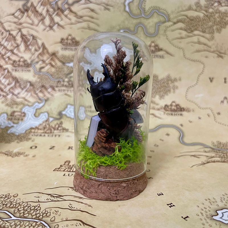 Female Stage Beetle #2 in 3-inch Cloche