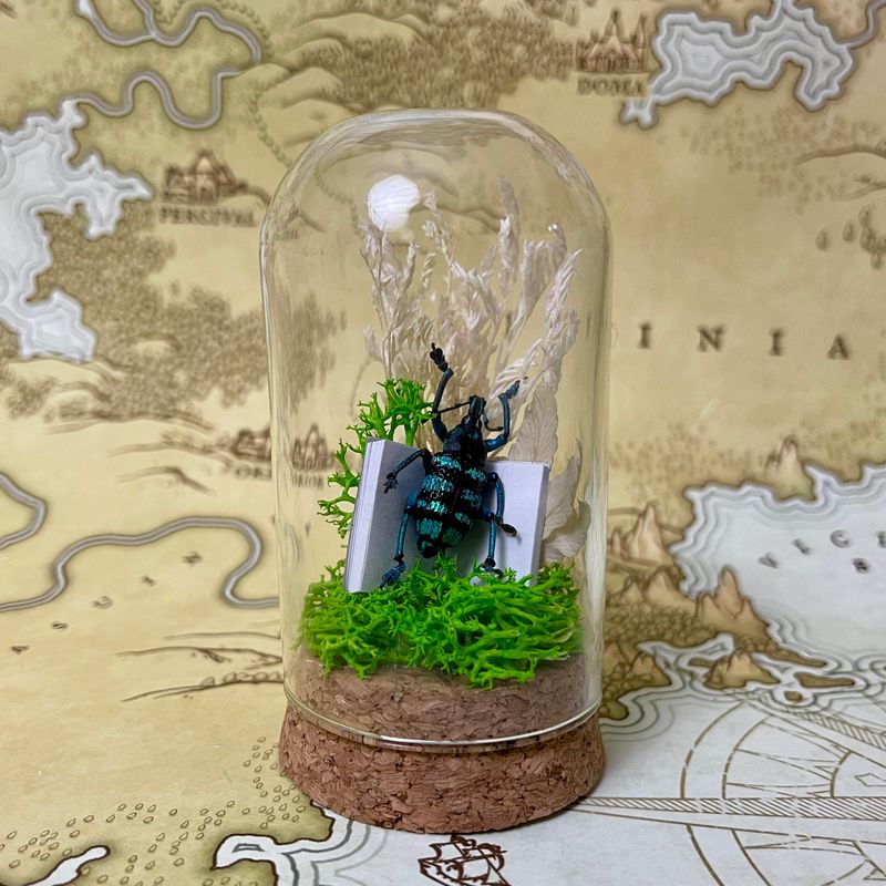 Teal Weevil in 3-inch Cloche