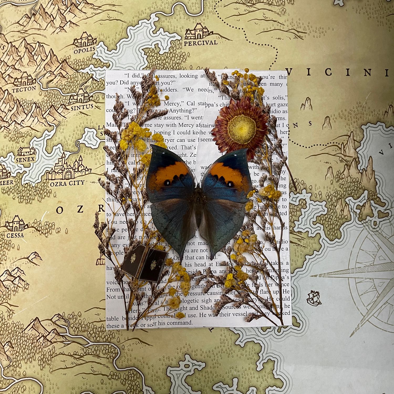 Dead Leaf Butterfly in 5 x 7 Inch Brown Wood Frame