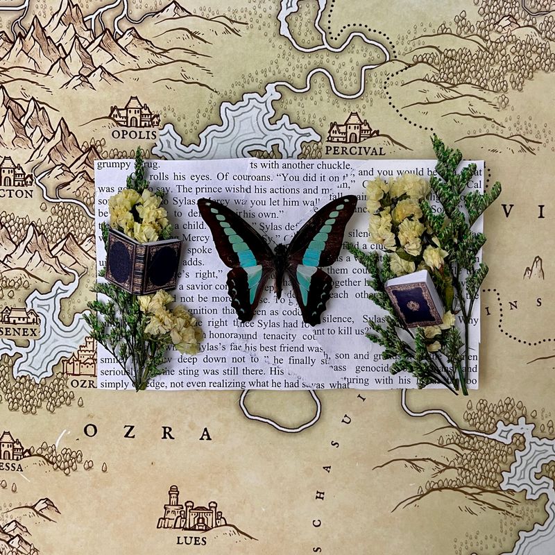 Bluebottle Butterfly in 4 x 7 Inch Black Frame